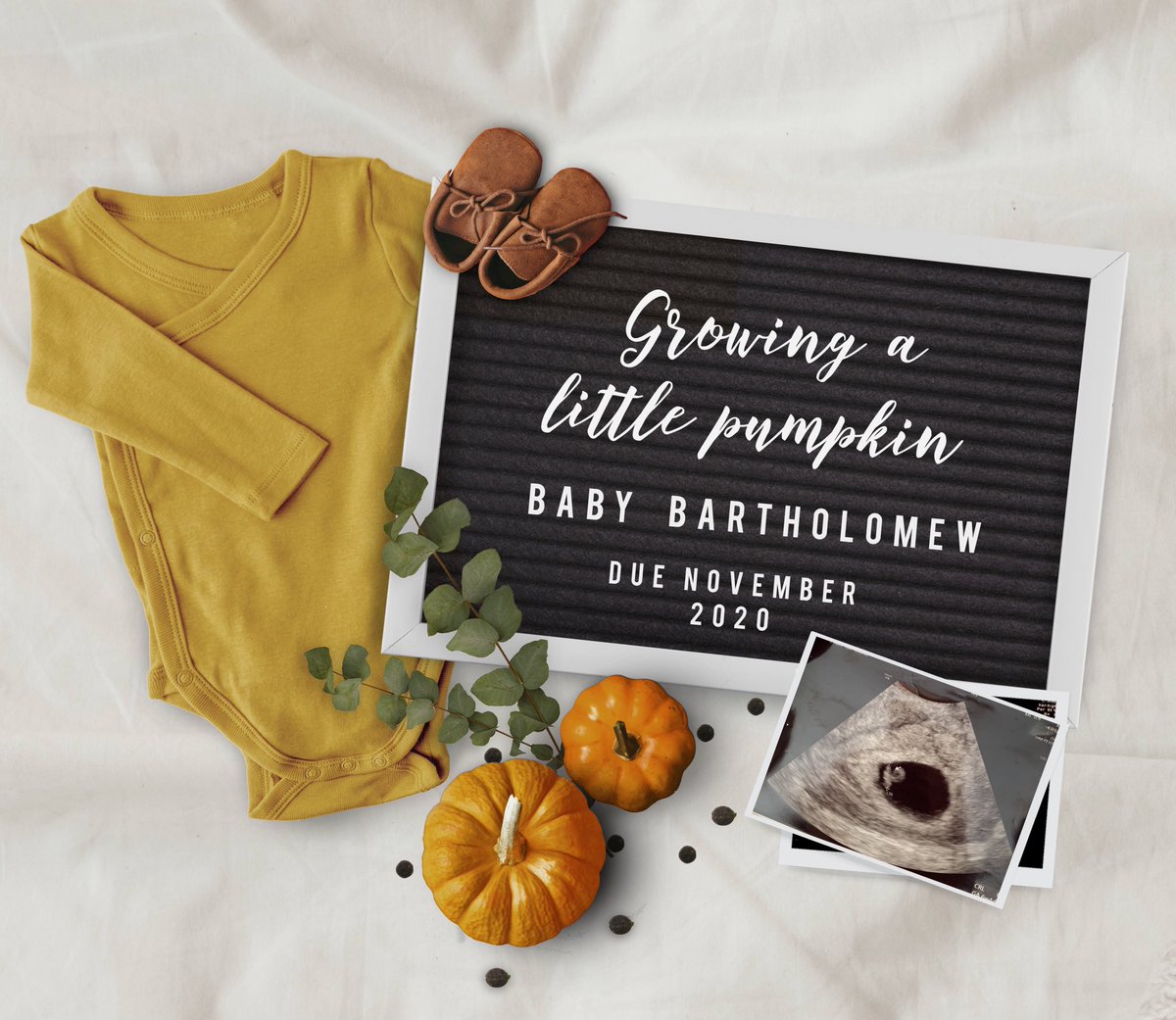 Sean Bartholomew tweet media