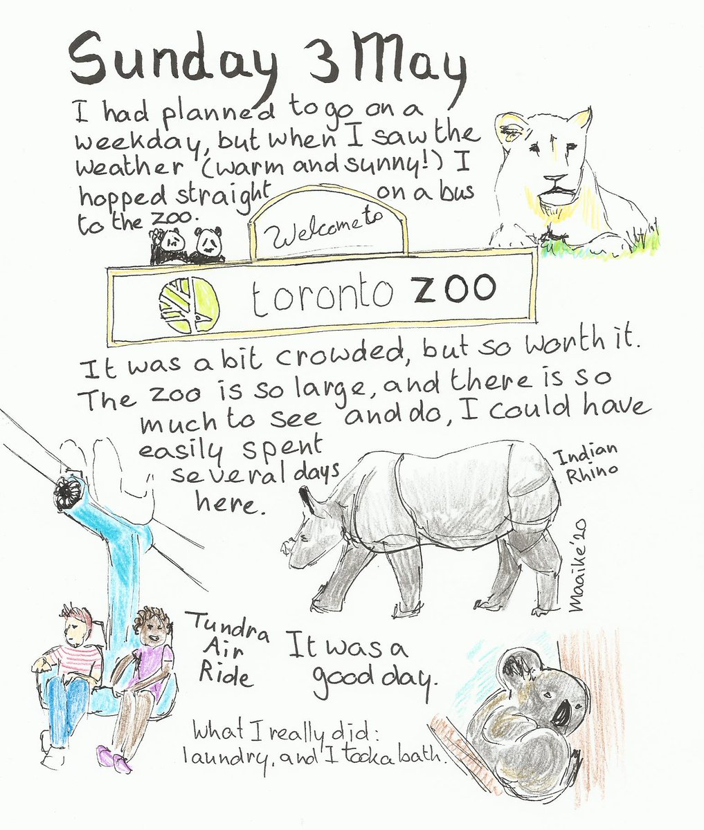 maaibaai's tweet photo. Yesterday it was plants and today it was animals. Many, many pictures. And it was sunny and I even remembered to put on sunscreen!

#NotActuallyInToronto #traveljournal #CoronaTravelAtHome #Toronto #illustratie #illustration #TorontoZoo https://t.co/ZulMf5OZrz
