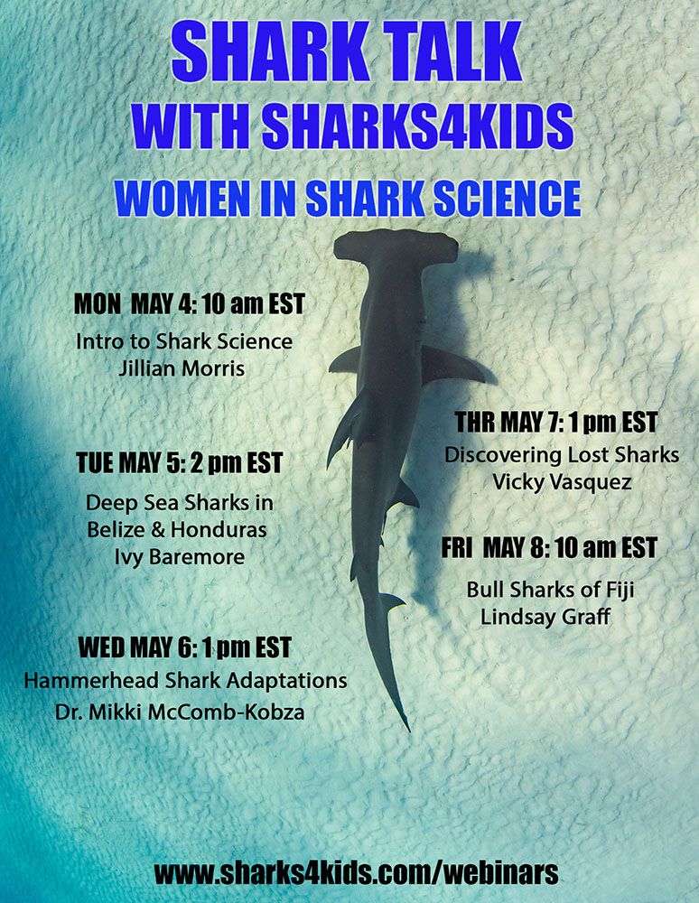 Sharks4Kids's tweet photo. Shark Webinar Series Week 7: Women in Shark Science
https://t.co/PyB7h65Kx7
@BiminiSharkGirl @MarAlliance @squatinaivalina @Mikki_Kobza @OceanFirstInst @VickySharky
#schoolsoutscience
#WomenInSTEM
#SharkScience
#deepseasharks
#bullsharks
#hammerheadshark https://t.co/NwlcMZ4ytb