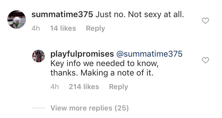 Playful Promises is the only lingerie brand I recognize from now on