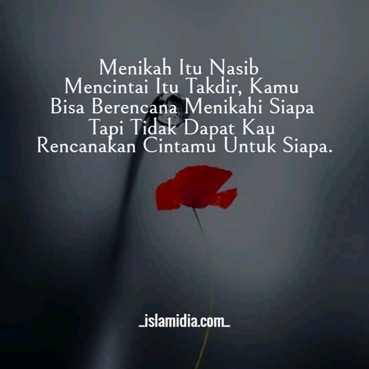 PS__Indah's tweet photo. Apa sebab itu ada kalimat. Cinta tak harus memiliki.
Kok kayaknya nyess amat ya 🙄 https://t.co/ZZMOnQdcg4