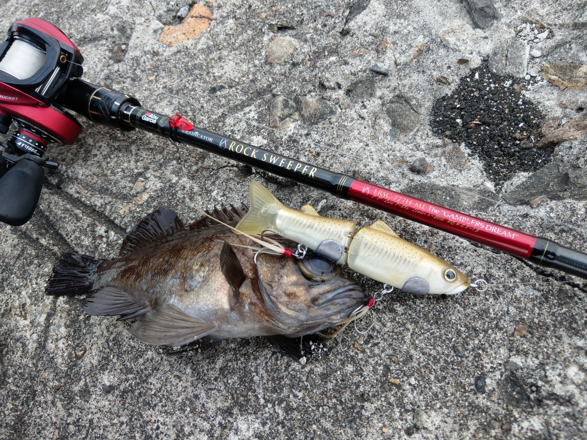 アブガルシア　ロックスイーパー　ERSC-777H-ML　ギャンブラードリーム アブガルシア(Abu Garcia) エラディケーター ロックスイーパー