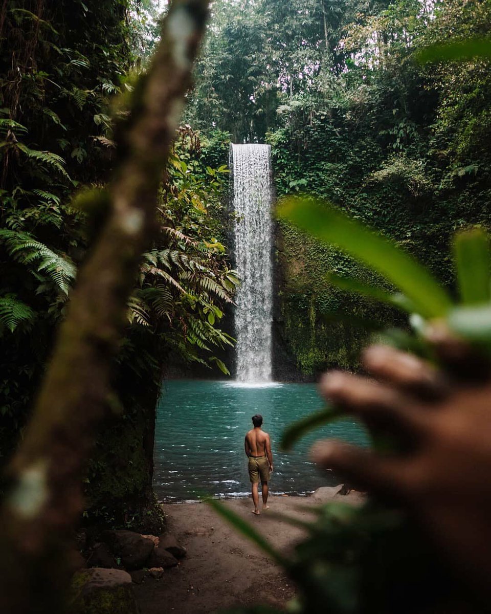 YesTravel6's tweet photo. #Travel #Indonesia #Jakarta #Bali #Ubud #Indonesian
#سفر #سياحة #اندونيسيا #بالي #بونشاك #جاكرتا
#YesTravel #YesIndonesia https://t.co/LglX88VIIX