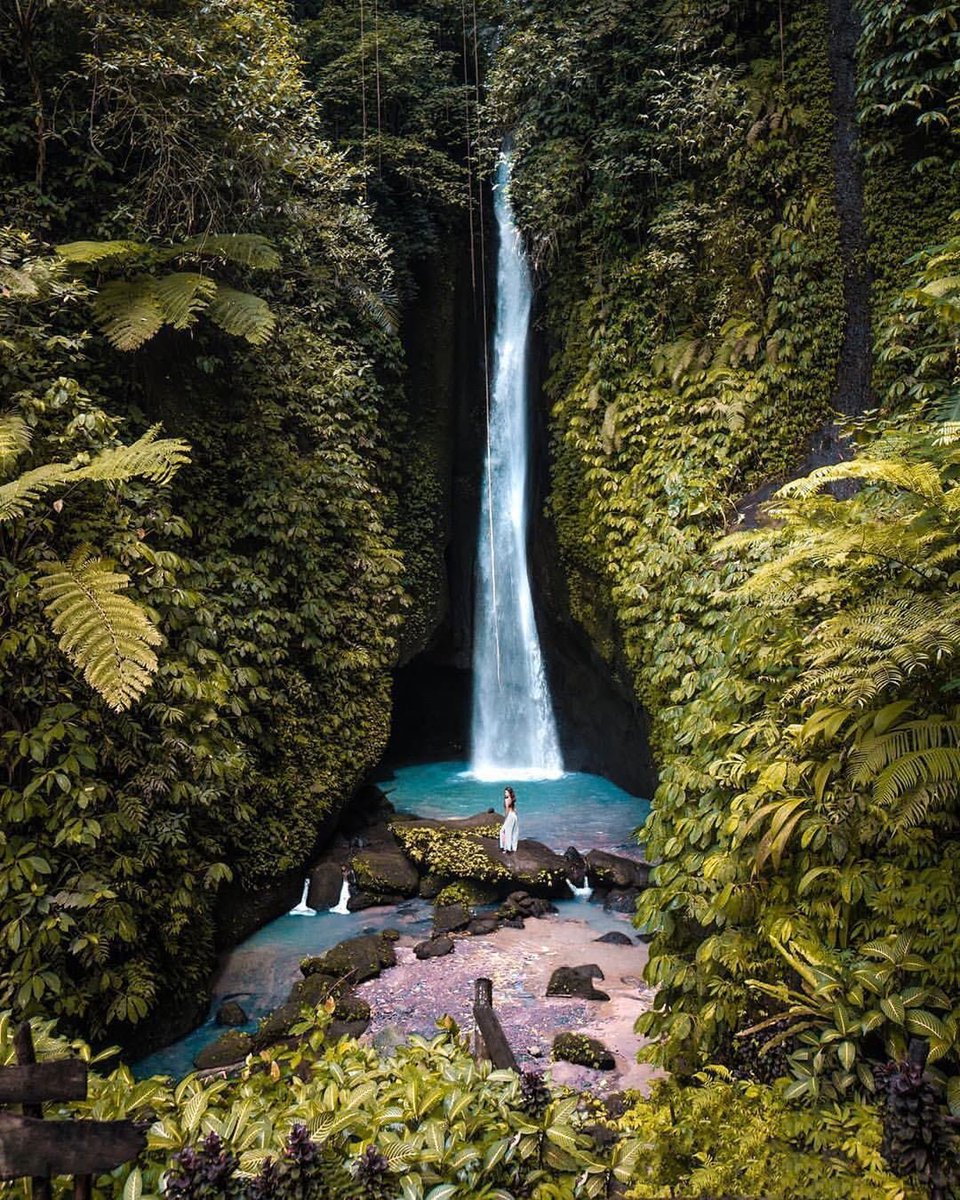YesTravel6's tweet photo. #Travel #Indonesia #Jakarta #Bali #Ubud #Indonesian
#سفر #سياحة #اندونيسيا #بالي #بونشاك #جاكرتا
#YesTravel #YesIndonesia https://t.co/LglX88VIIX