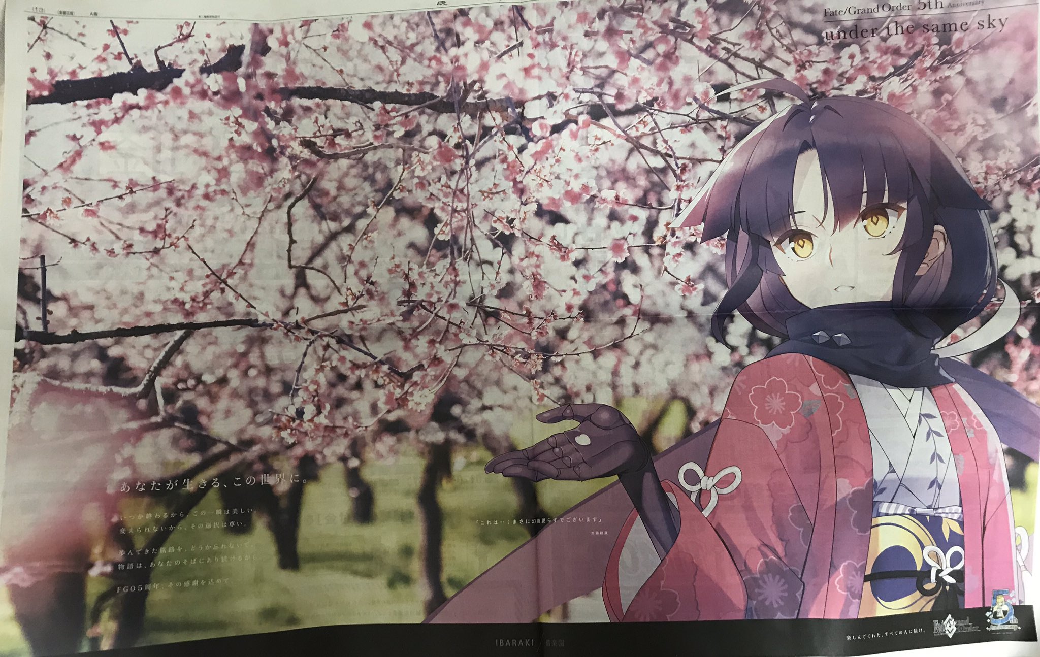 紫苑 Fgoの新聞 茨城新聞の加藤団蔵ちゃん マスターの皆様 来年は 桜を観に偕楽園にいらして下さいね Under The Same Sky Fgo Fategrandorder