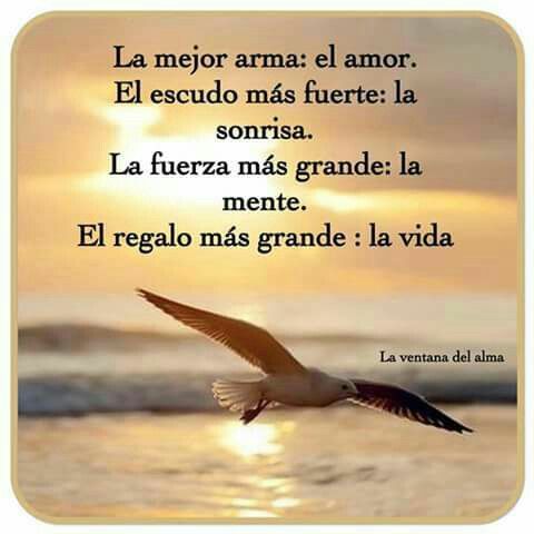 Male on Twitter: "Nuestros mejores estandartes que debemos cuidar... El  amor La sonrisa La mente y La vida.. Seamos felices Recemos siempre Dios  nos Bendiga… https://t.co/o3GHwk6kyk"