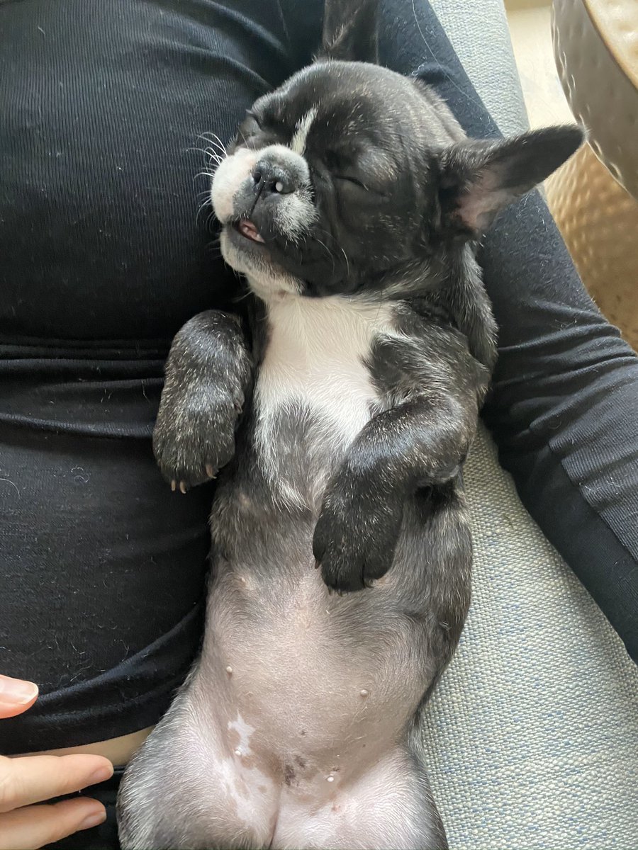 Kimberley Braid tweet media