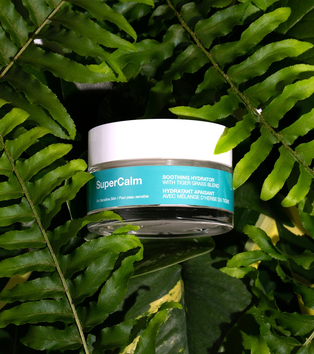 arbonne sensitive skin