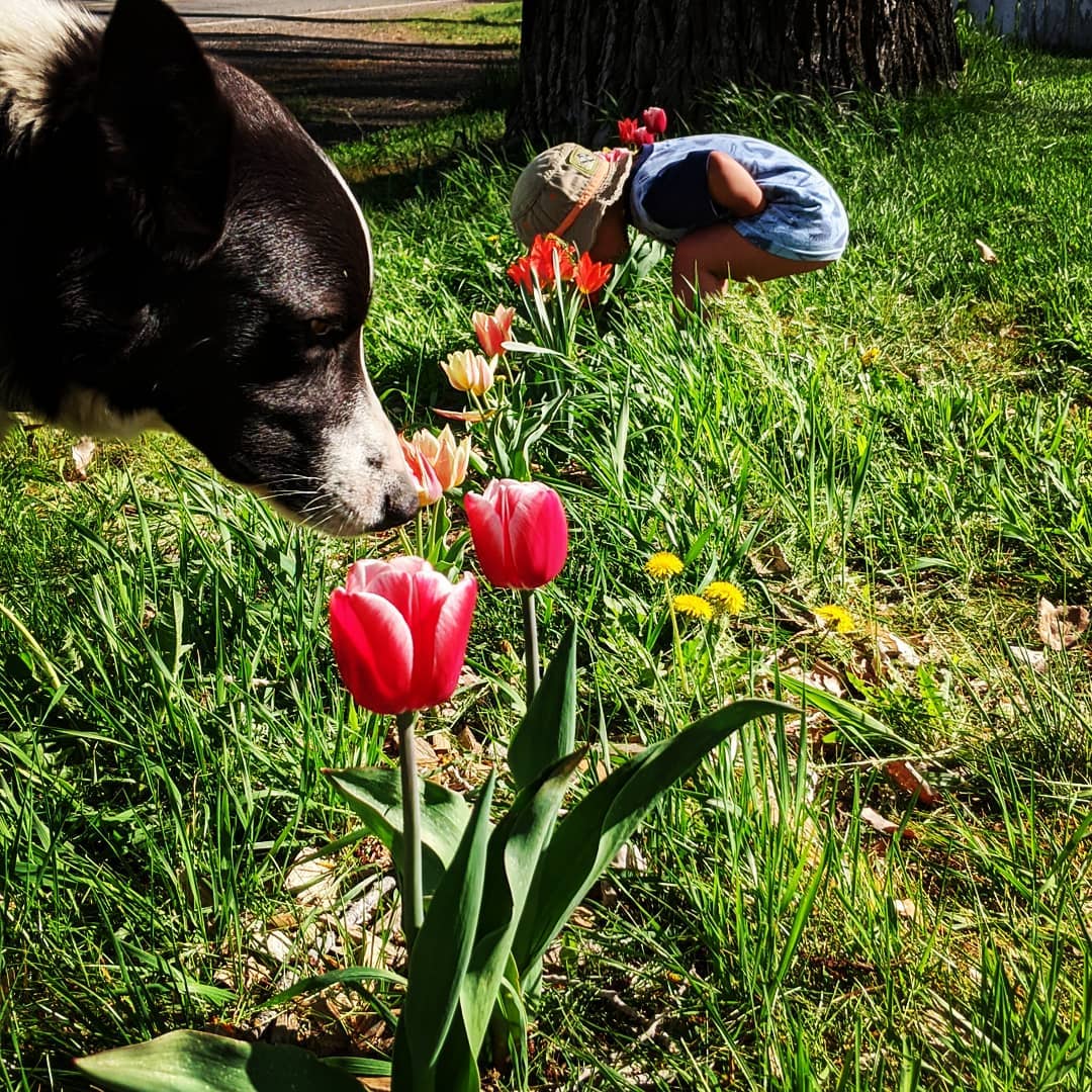 Stopping to smell the flowers! Our work from the fall has paid off in a lovely way: ow.ly/thbg50zvw4B