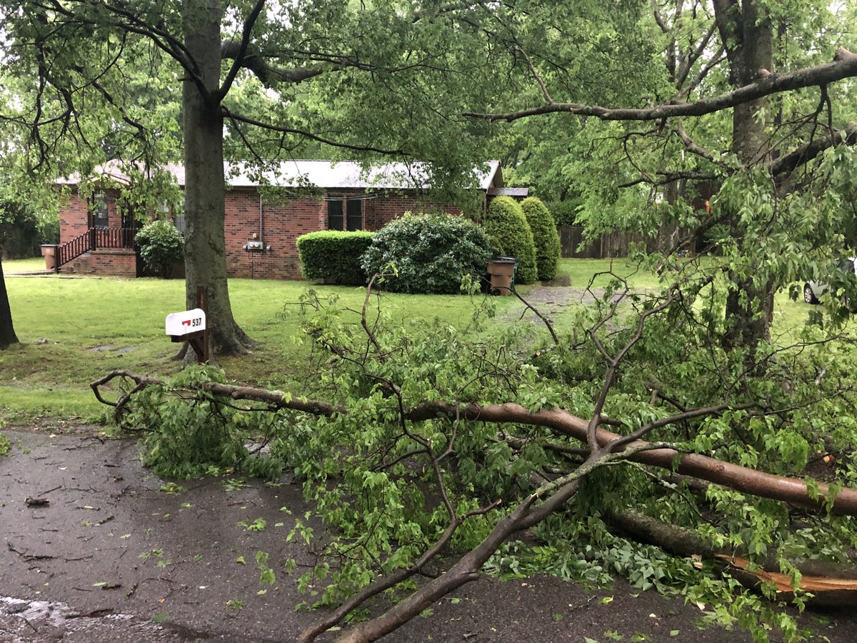 duplantis's tweet photo. ⁦@NESpower⁩ ⁦@NC5⁩ ⁦@FOXNashville⁩ ⁦@WSMV⁩ ⁦@WPLN⁩ ⁦@WKRN⁩ https://t.co/RHlQPChelU