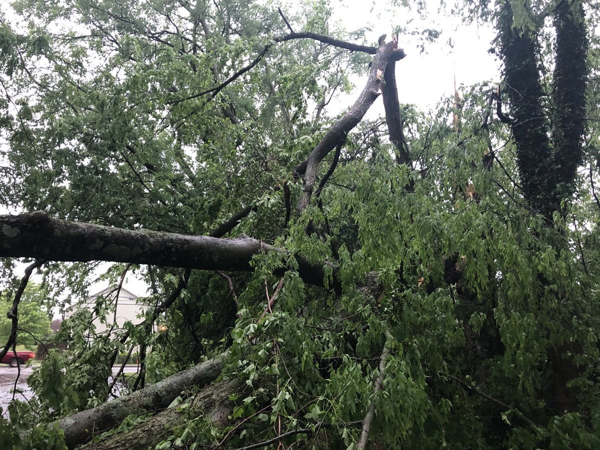 duplantis's tweet photo. ⁦@NESpower⁩ ⁦@NC5⁩ ⁦@FOXNashville⁩ ⁦@WSMV⁩ ⁦@WPLN⁩ ⁦@WKRN⁩ https://t.co/RHlQPChelU