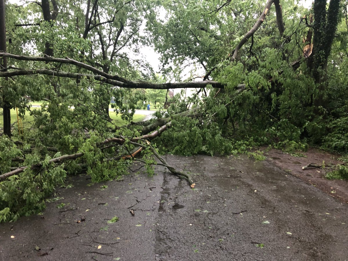 duplantis's tweet photo. ⁦@NESpower⁩ ⁦@NC5⁩ ⁦@FOXNashville⁩ ⁦@WSMV⁩ ⁦@WPLN⁩ ⁦@WKRN⁩ https://t.co/RHlQPChelU