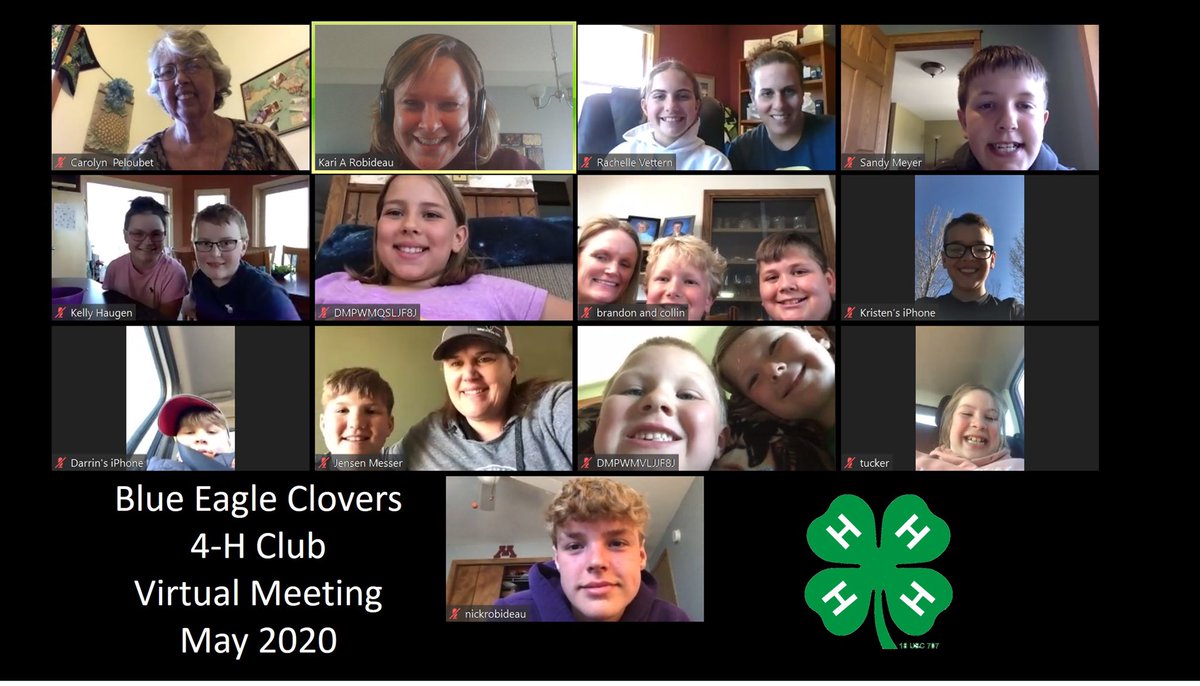 🍀We did it!!!  Our first Virtual 4-H Club Meeting for the Blue Eagle Clovers!  💚Happy to see those faces again. #stayingconnected #MN4H #ClayMN4H #4HClubVirtualMeeting #TogetherAgainSoon