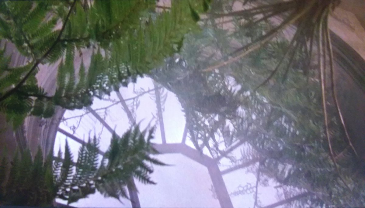 shellen1000's tweet image. #ArchitectureMovieChallenge 4:Favorite Apartment: Green Card(1990) Bronte&apos;s apt.!!! Greenhouse, rooftop garden, great location.... heaven.