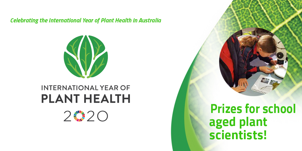 Prizes for school-aged plant scientists! To celebrate #IYPH2020 the theme of the 2020 Hermitage Schools Plant Science competition is #planthealth. Find our more: daf.qld.gov.au/business-prior… @DAFmediaQld <a href="/iyph2020/">IYPH2020_Aus</a>
