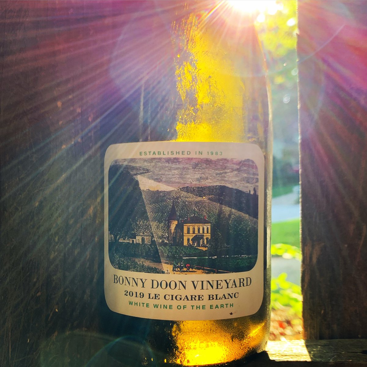 TheAcademicWino's tweet image. 2019 Bonny Doon Vineyard Le Cigare Blanc (Central Coast, CA).

46% Grenache Blanc, 34% Vermentino, 20% Clairette Blanche.

Pale straw color. Beautiful floral, tropical fruits on the nose.Creamy citrus, tropical fruits, clean mineral finish. Long finish. Beautiful!
 $19.99.sample