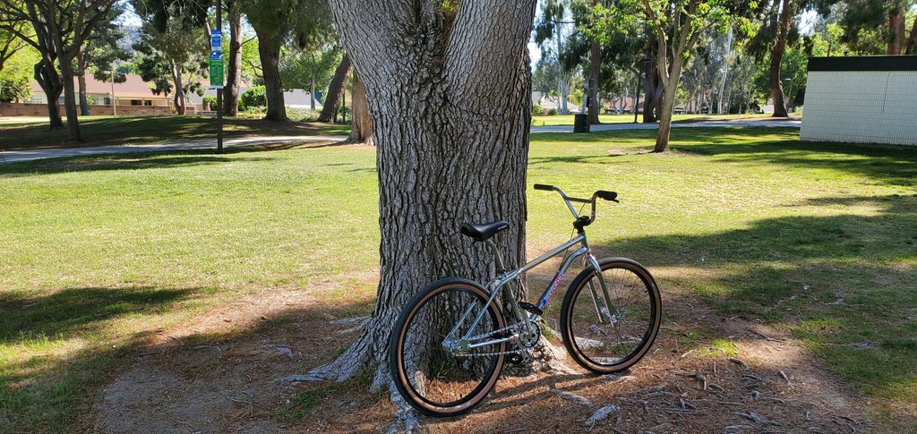 Malicefox's tweet photo. It's too nice out not to take a spin on the cruiser to the park. Love my @GTBicycles #ProPerformer. Same bike I had as a kid now in adult size! https://t.co/X4RdLWzu0I