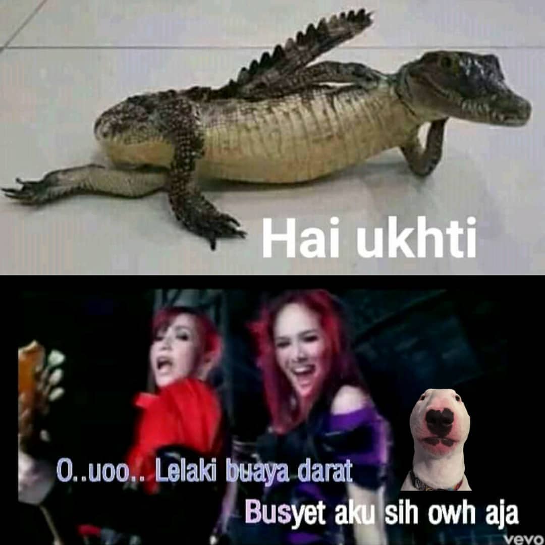 Memelord On Twitter Yeet