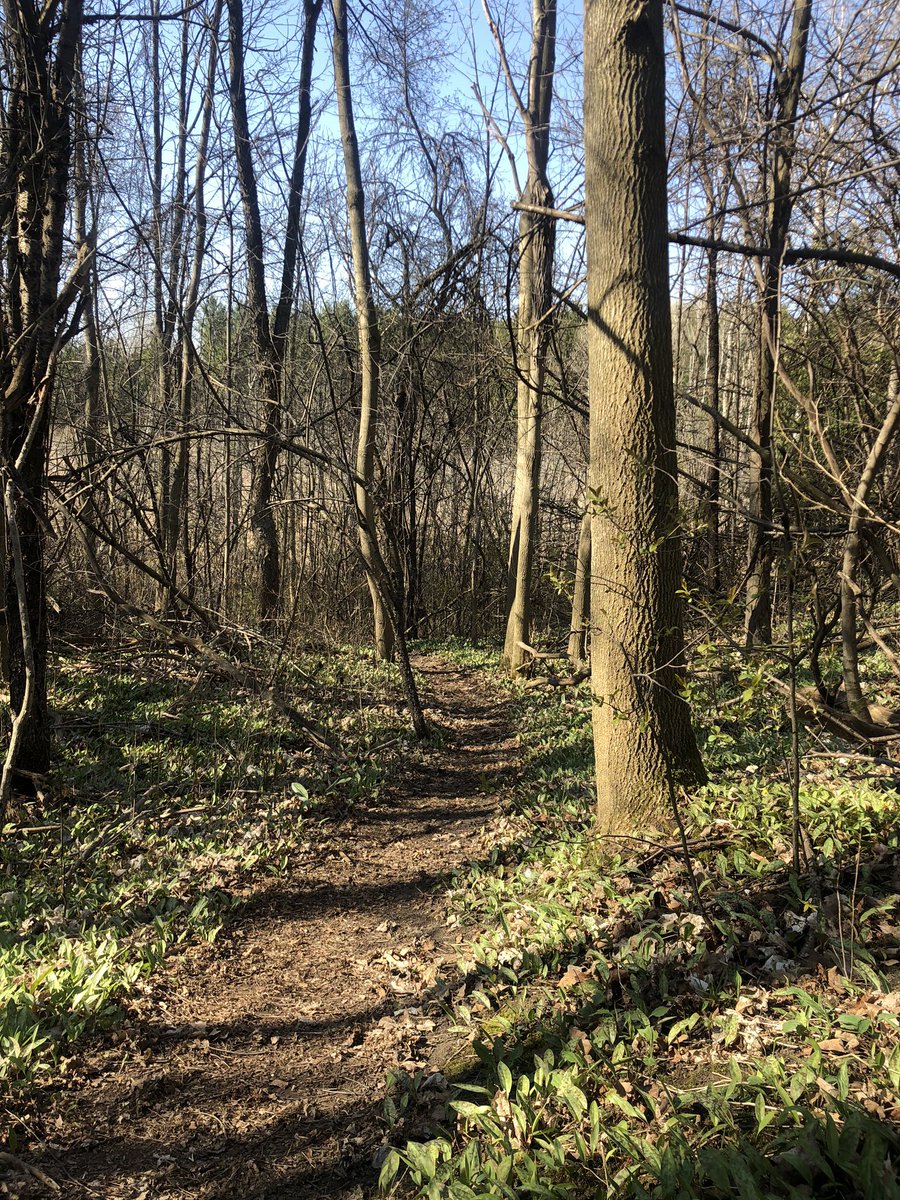 Nothing better than an early(-ish) morning trail run on this beautiful Sunday #HTSParentsConnect