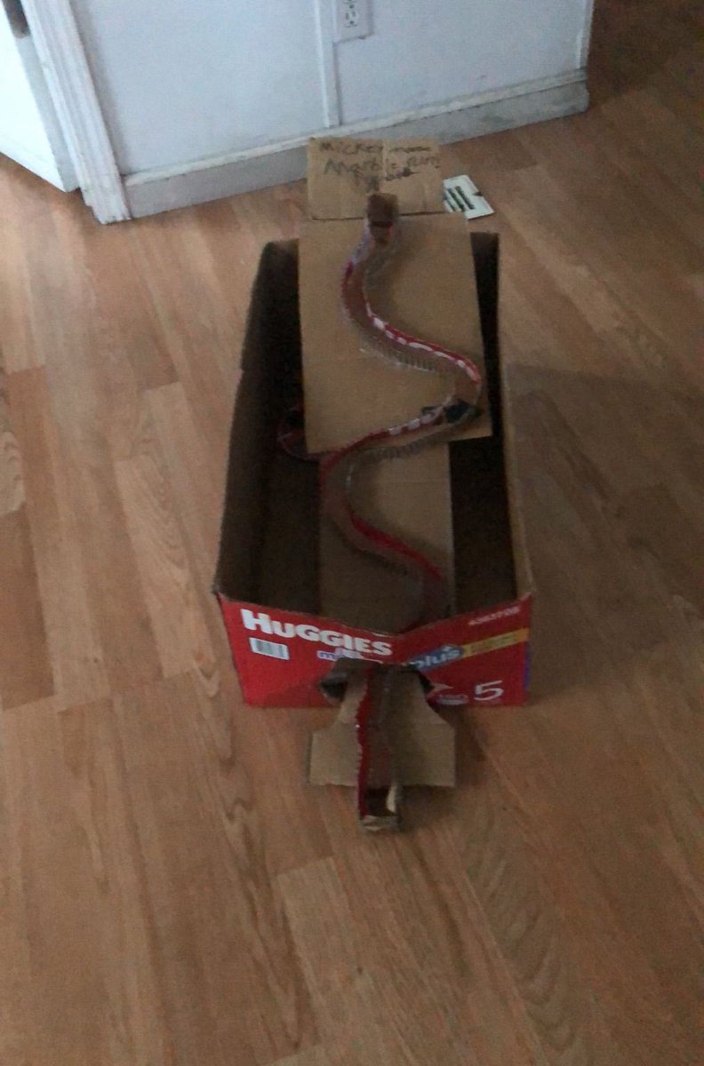 My students did an amazing job on their STEM project using recyclables. For Earth Day, students reused recyclables from around their house  and engineered something new out of it. #SoCoEdStrong #STEAM #MakerEd #Recyclables @STEAMChampions <a href="/UELFSEAWOLVES/">UELFCRPUSD</a>