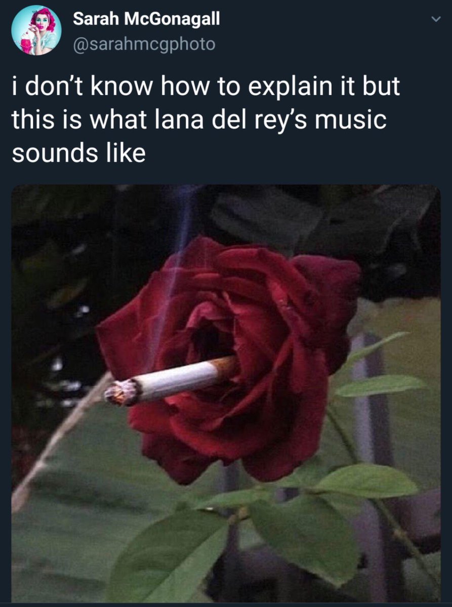 TenaciousD tweet media