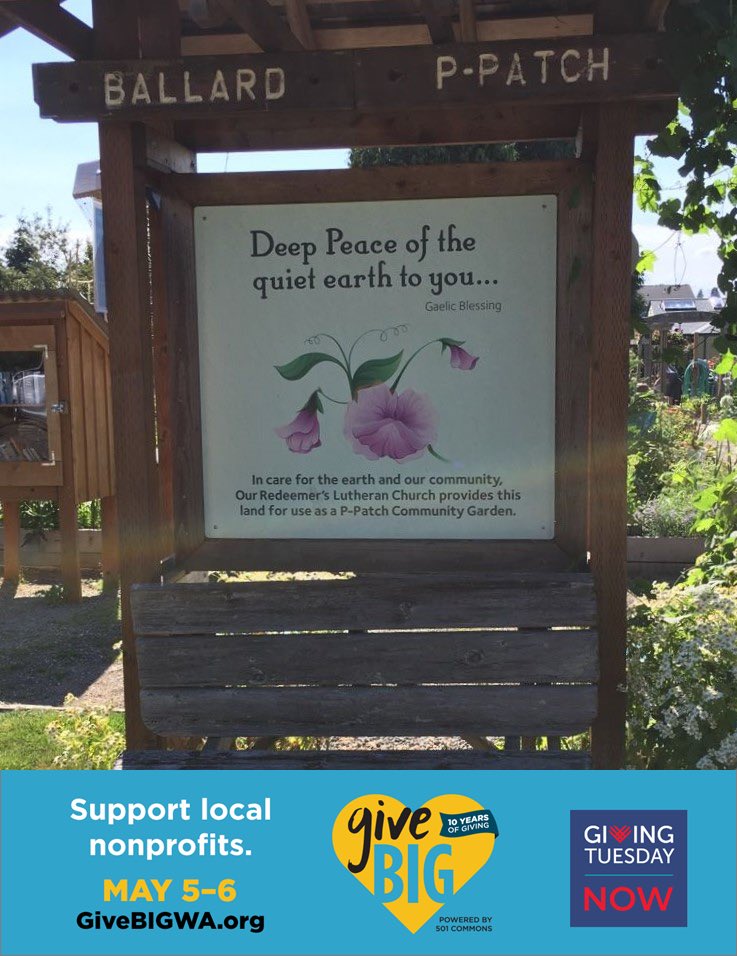 Ballard P-Patch tweet media