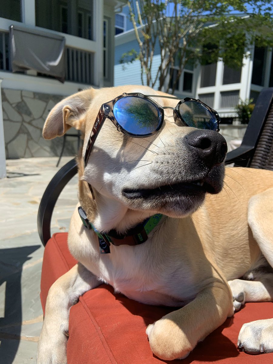 philgramaglia's tweet photo. Taking a break from the to do list. https://t.co/GdHTh1cz6h