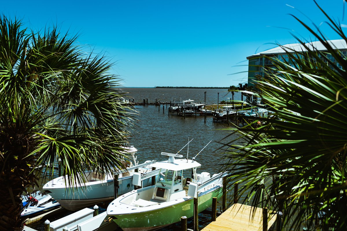 JaredRBarton's tweet photo. It's that time of year again.

#navycove #gulfofmexico #beach https://t.co/WBIgVECS8w