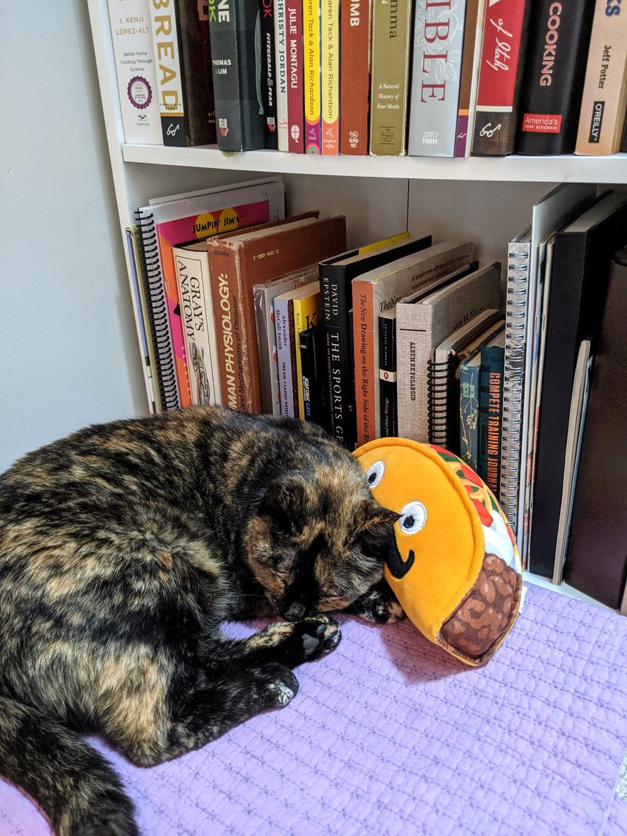 Sr. Taco (Crispy) tweet media