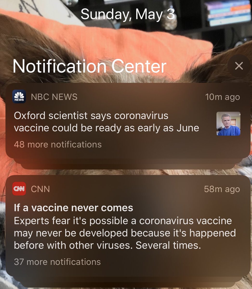 abbyhardin_'s tweet photo. loving these back to back news alerts from this morning! definitely not feeling more confused or unsure of the facts at all! https://t.co/iNApkadSjb