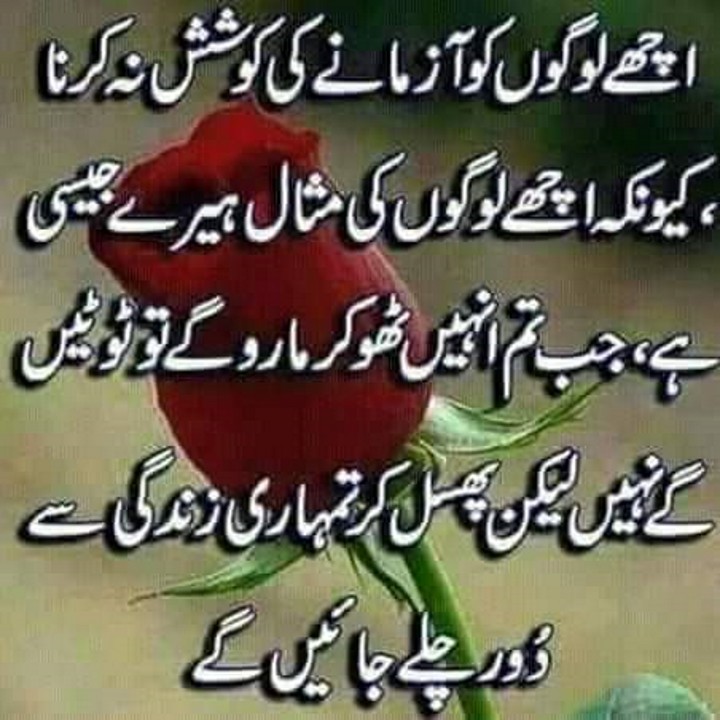 Ahmad Khan (@ahmadkh08618581) on Twitter photo 