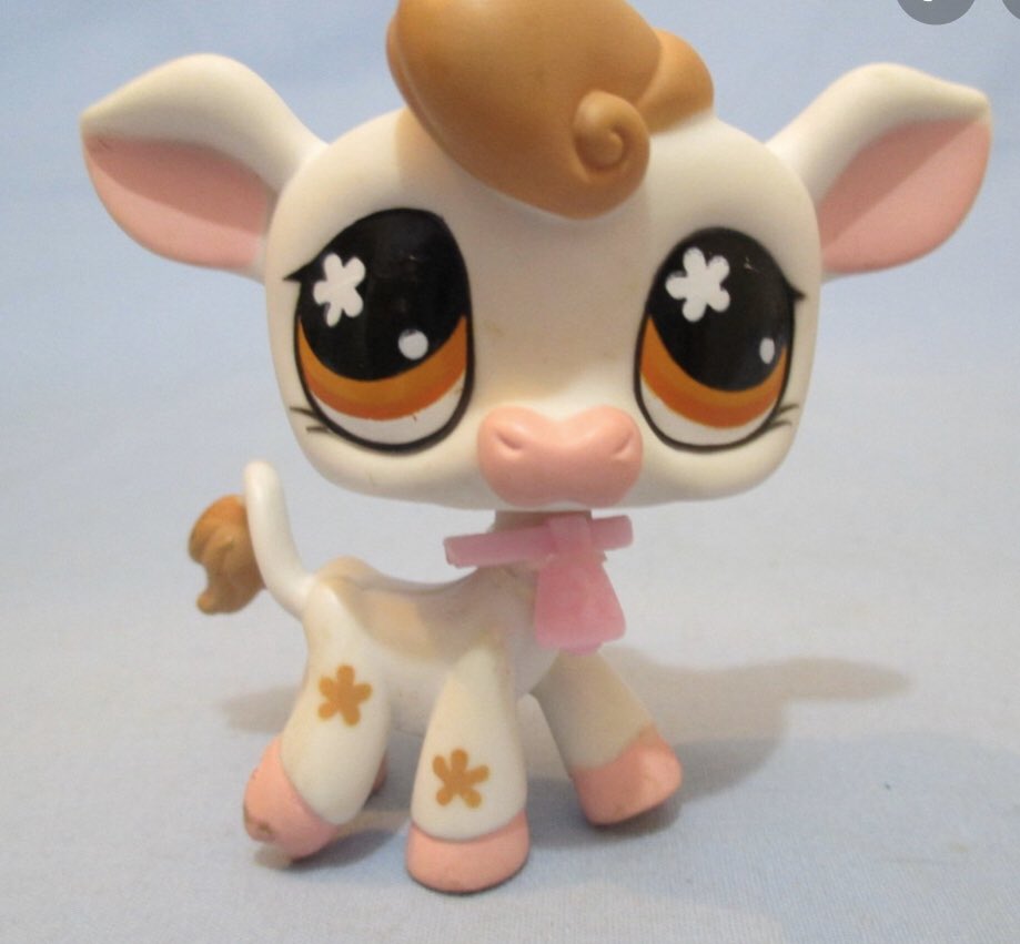 sxphayyy's tweet photo. y’all talking ab monster high but have you seen littlest pet shop https://t.co/gRcWHwlirW