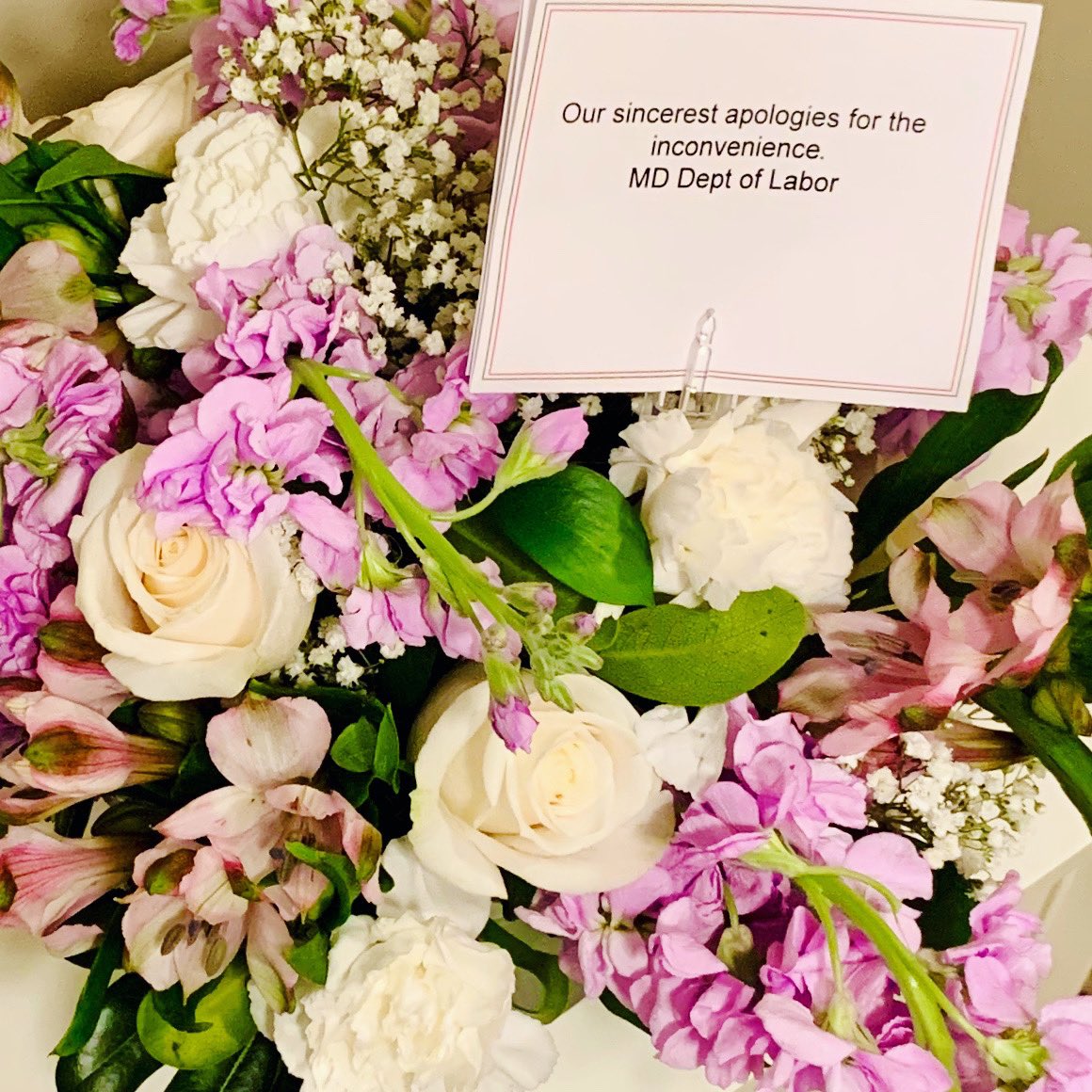 JuliannePulv's tweet photo. Beautiful apology from @MD_Labor. Apology graciously accepted. So glad this ordeal is over. Hope MD reached out to people who desperately need relief. Many thanks @nbcwashington @chrisgordonnews for impressive reporting to resolve this cell debacle during this surreal pandemic. https://t.co/j0WnxKZnIQ