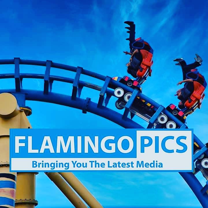 flamingopicsuk's tweet photo. #NewProfilePic https://t.co/kBza1HTe9c