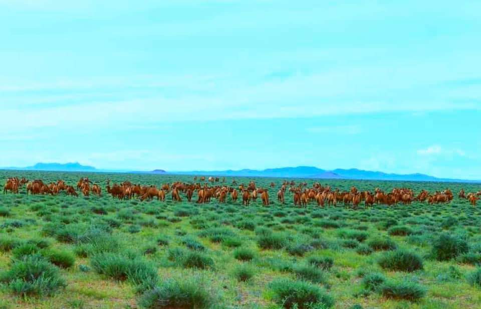 Ogloonii mend shine 7 honog ni buteeleer duuren baig ee