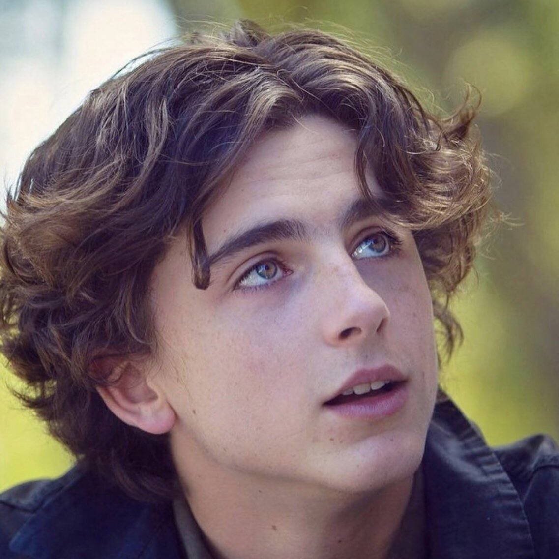 north_x_threads's tweet image. timothee chalamet- a thread 💖
