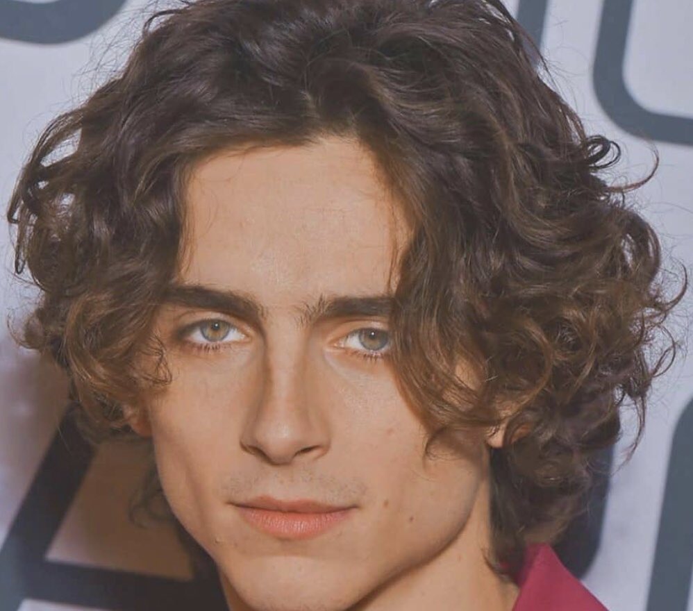 north_x_threads's tweet image. timothee chalamet- a thread 💖