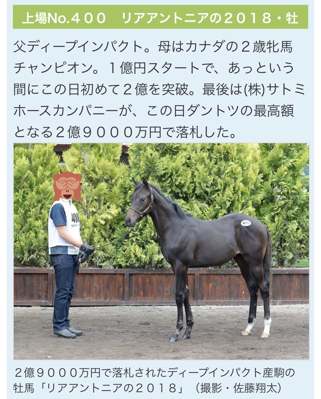 若鶏半身グリル焼き サトノスカイターフ 里見オーナーに庭先取引された馬だが リアアメリアの全弟をセレクトセールで落札したが 競走馬にはなれず その代償かどうかは分からないですが サトノ ディープ産駒 池江厩舎 サトノダイヤモンド級 陣営の