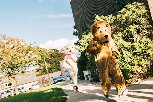 BantshireUni's tweet photo. The World University Mascot Rankings, Semi-Final 3 #WUMR2020

@dmuleicester Monty the Lion, @UniKent Kent Bunny, @marjonuni Lion and Lamb, @CardiffUni Dylan the Dragon

Vote in the poll below ⬇️ https://t.co/1KPbG4pQSq