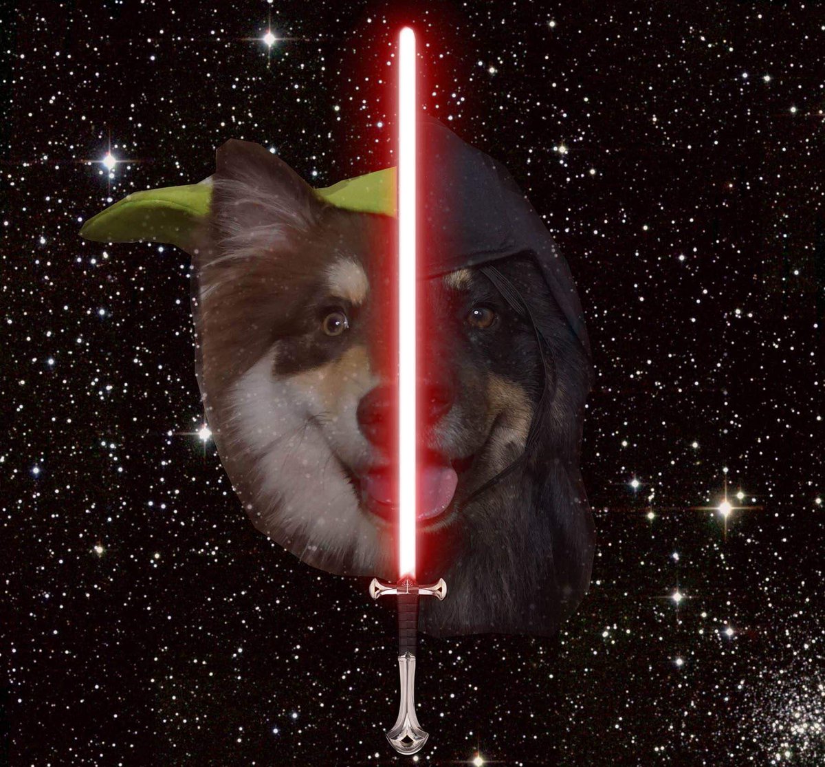 Tessrayy_'s tweet photo. Happy Star Wars day!
#MayThe4th 
#MayThe4thBeWithYou 
#StarWarsDay https://t.co/ZkxHfLRAqB