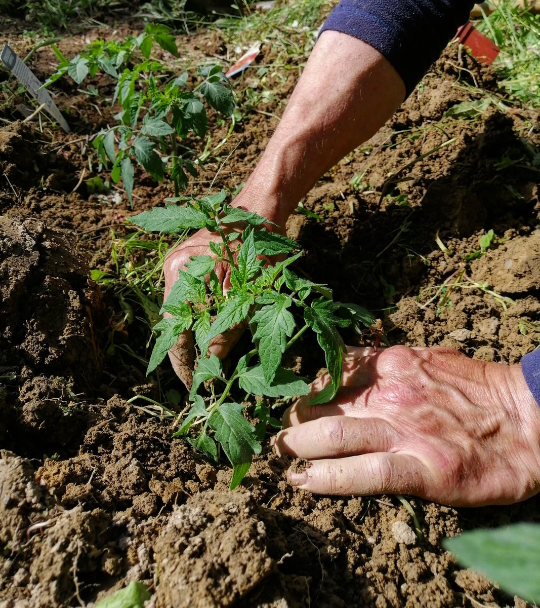 All the love that we put into doing the little things ❤️
.
.
.
#like #follow #share #comment #subscribe #castelnuovodellabate #montalcino #borghettomontalcino #tuscany #tuscanygram #italy #italy🇮🇹 #italia #santantimo #valdorcia #travel #travelblogger #travelphotography
