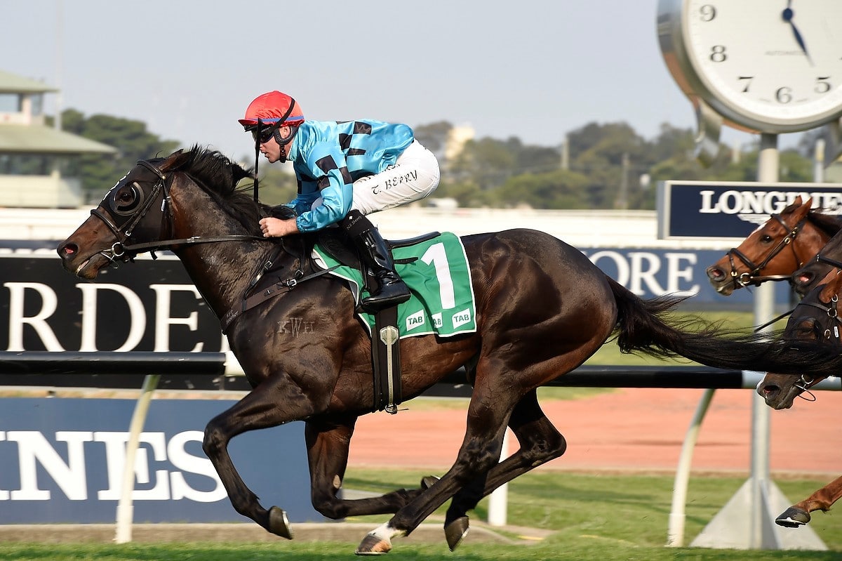 Aquis Stallions tweet media