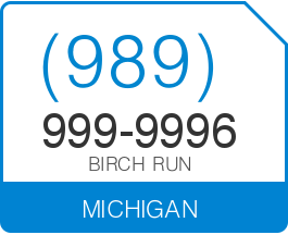 Vanity_Number's tweet photo. VANITY PHONE NUMBERS MICHIGAN BUY (989) 999-9989 VANITY NUMBER.  https://t.co/EBjWy9DPh5 https://t.co/zJTNsOkS2l