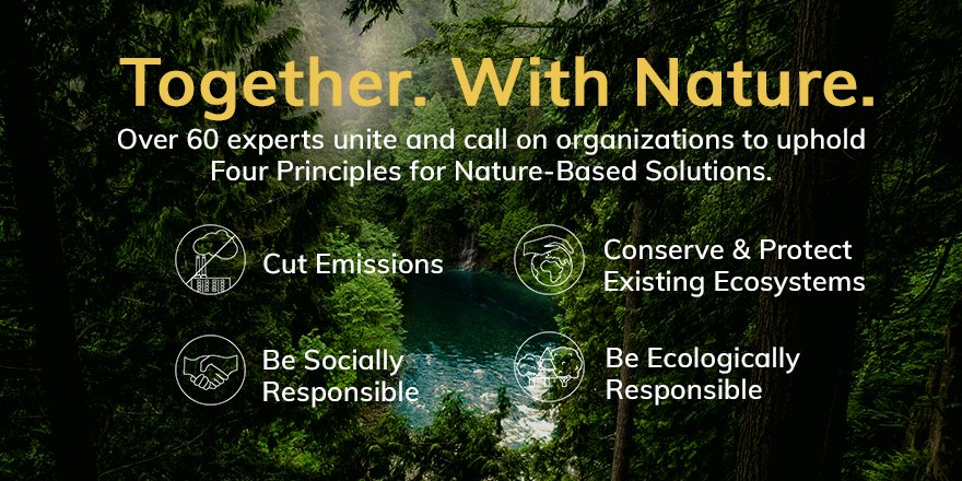 PaulPolman's tweet photo. The evidence is clear - it's time to act on climate change and biodiversity loss. Today, I've joined with other leaders to come #TogetherWithNature around Four Principles for Nature-Based Solutions. See our statement: https://t.co/a66eSrVb8J
#4Principles4NBS #NatureBasedSolutions https://t.co/KNLHLADXb9