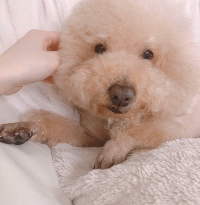 はぁ......可愛い.......🥰 https://t.co/g30i9vSX2n<a href="/tag/nintendoswitch"class="tags"><span>#nintendoswitch</span></a><a href="/tag/fortnite"class="tags"><span>#fortnite</span></a>