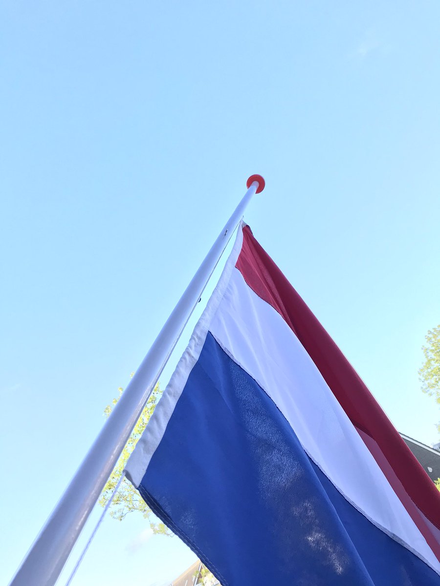 Marcel Hoving 😸 tweet media