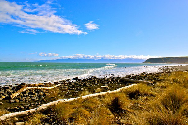 Shane Harmon tweet media