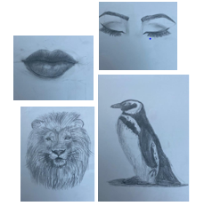 HisartF's tweet photo. Albert Einstein quoted 'Creativity is contagious, pass it on' and so we are sharing these lovely drawings by Elena in Year 7, who has been using her spare time during quarantine to use her creativity with Art. https://t.co/jbjwPfMTK1