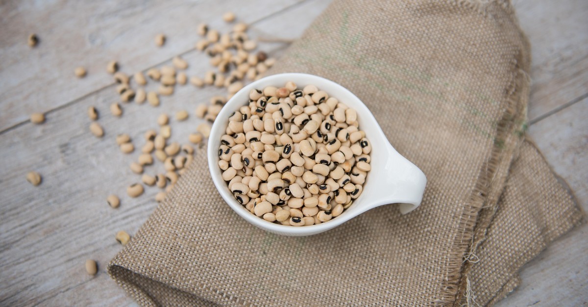 Fazer ingår i forskningsprojektet New Legume Foods. Projektet går ut på att öka konsumenters medvetenhet om klimat- och hälsofördelarna med baljväxter samt öka efterfrågan på svenskodlade baljväxter. fazer.se/hallbarhet/mer… #northernmagicmadereal #fazer #växtbaserat