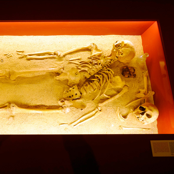 muprevalencia's tweet image. 🏛No vau tindre ocasió de visitar l'exposició 'En temps dels #visigots al territori de València'?

🤗No patiu, tornarem a gaudir d'ella! L’ajornem fins el 26/09/20.

Mentrestant, podeu fer un tast amb aquestes 📸 i el catàleg de l'exposició 👉🏼mupreva.org/pub/1016/va
#MuprevaACasa